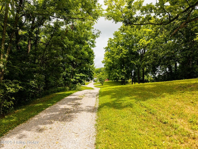 7190 Elmburg Rd, Bagdad, KY 40003 - photo 6