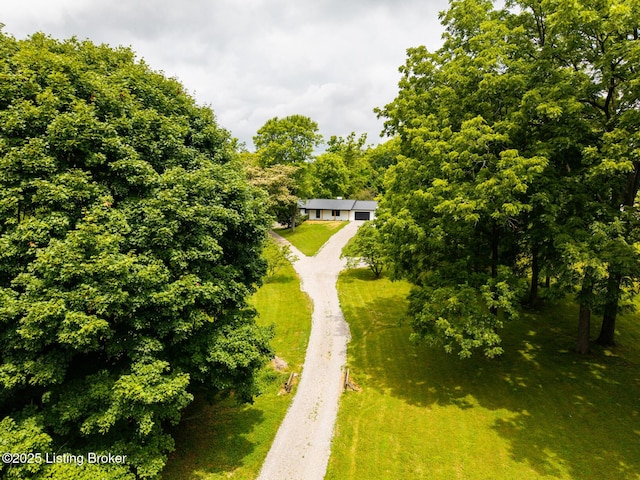 7190 Elmburg Rd, Bagdad, KY 40003 - photo 7