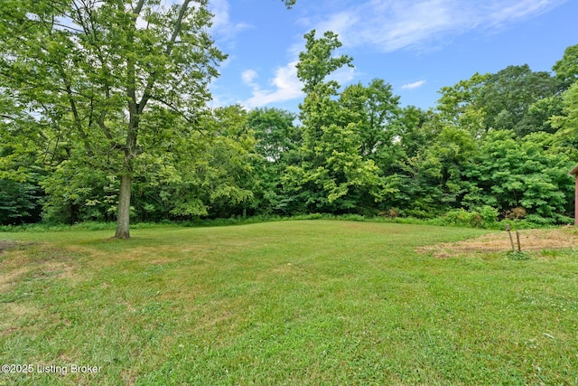 7190 Elmburg Rd, Bagdad, KY 40003 - photo 44