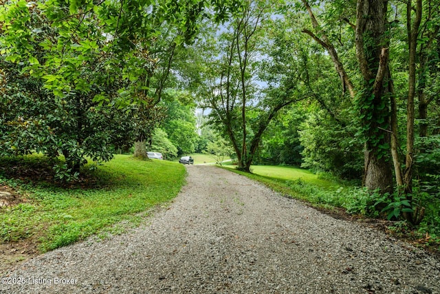 7190 Elmburg Rd, Bagdad, KY 40003 - photo 5