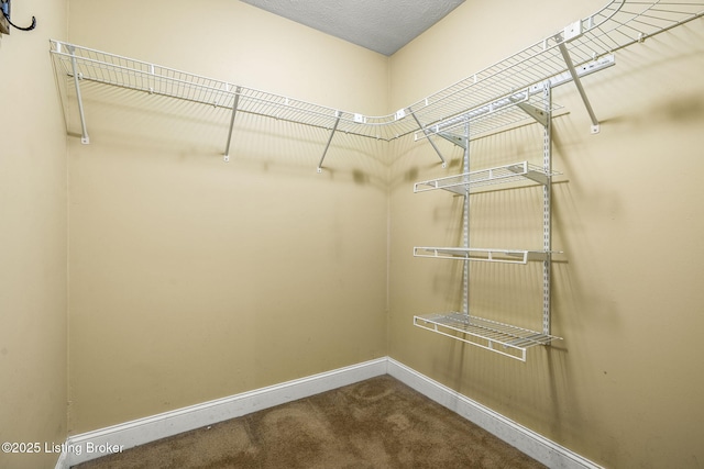 14205 Markleham Way, Louisville, KY 40245 - photo 38