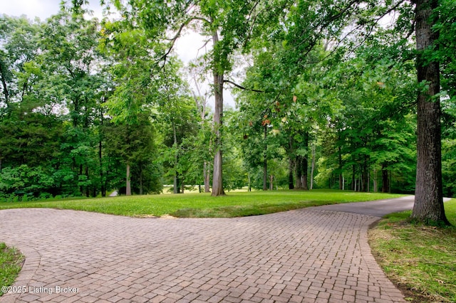 2901 S Pope Lick Rd, Louisville, KY 40299 - photo 44