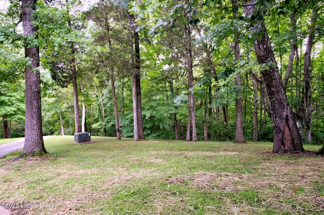 2901 S Pope Lick Rd, Louisville, KY 40299 - photo 45