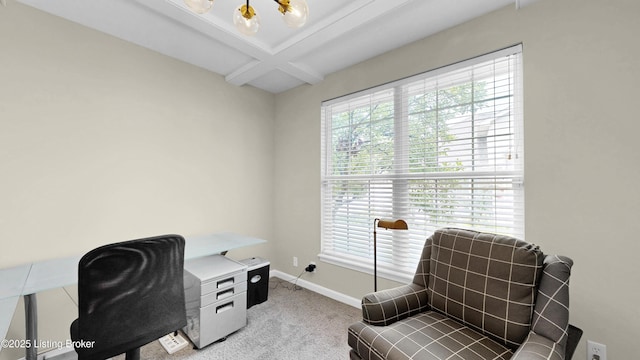 419 Village Lake Dr, Louisville, KY 40245 - photo 22