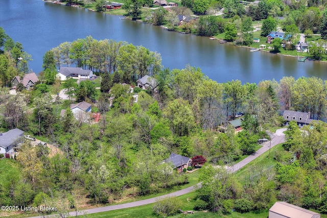 1407 Allgeier Dr, La Grange, KY 40031 - photo 47