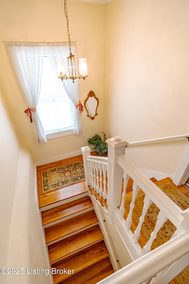 613 Washington St, Shelbyville, KY 40065 - photo 35