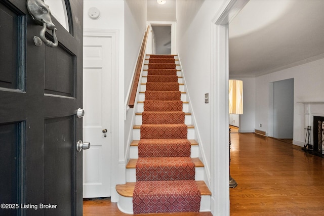3905 Druid Hills Rd, Druid Hills, KY 40207 - photo 6