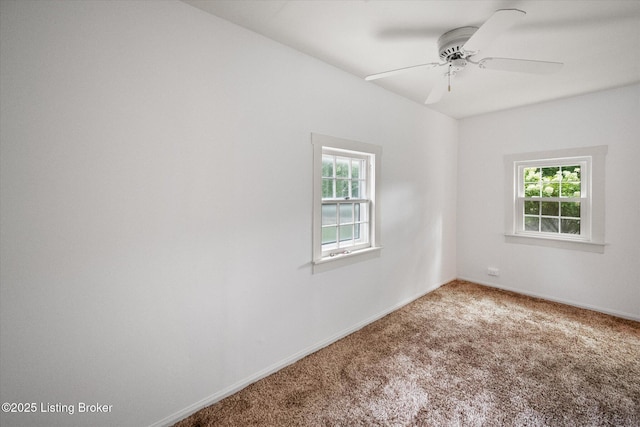 3905 Druid Hills Rd, Druid Hills, KY 40207 - photo 13