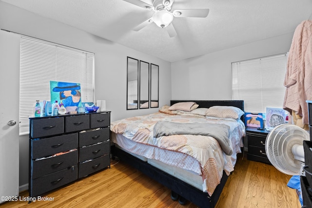 2906 Wurtele Ave, Louisville, KY 40216 - photo 11