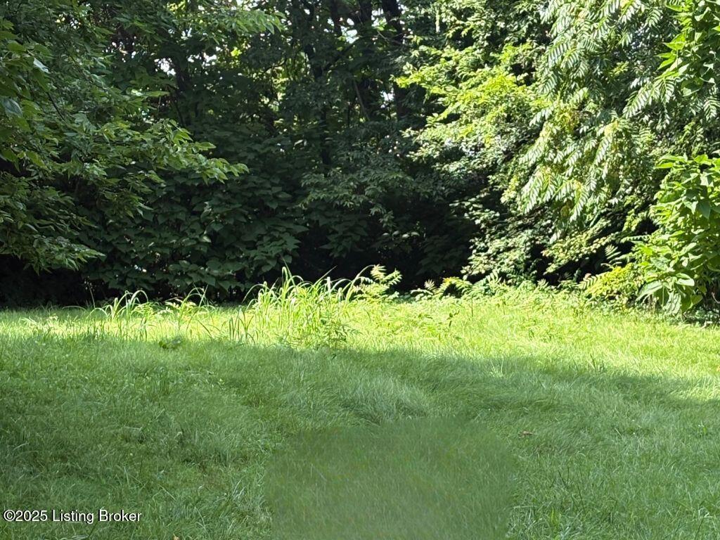 3109 W Jefferson St, Louisville, KY 40212 - photo 2