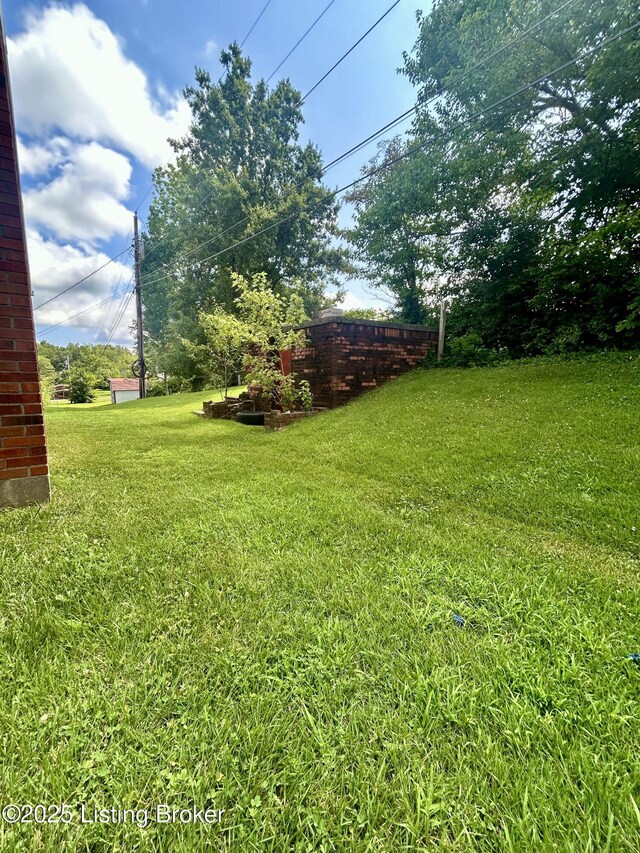 170 Cave Mill Ct, Leitchfield, KY 42754 - photo 10