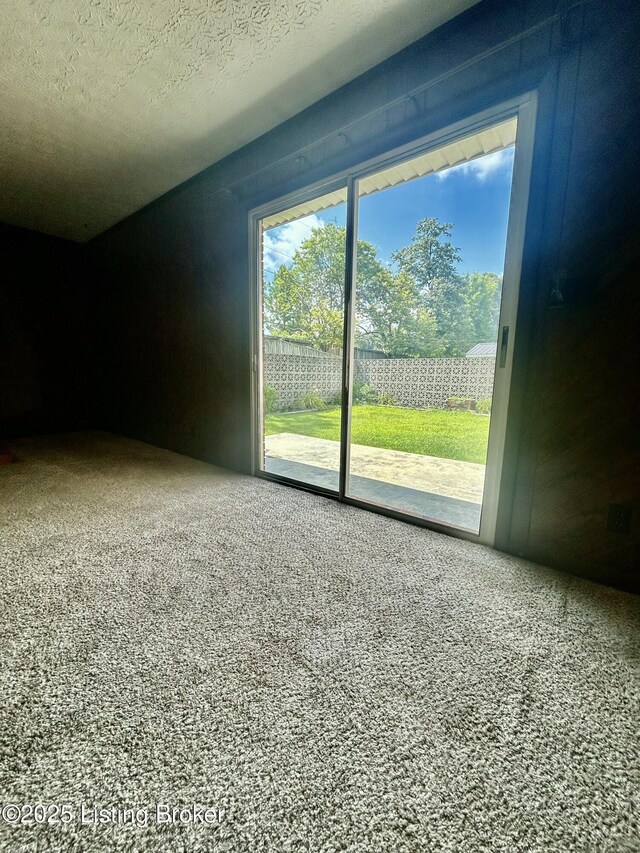 170 Cave Mill Ct, Leitchfield, KY 42754 - photo 30