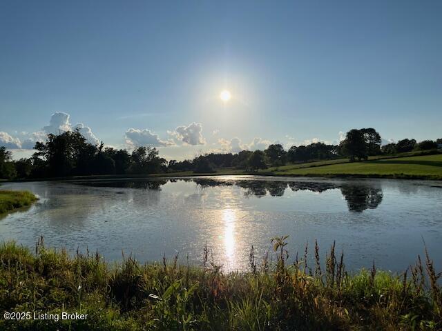 135 Cotton Ln, Taylorsville, KY 40071 - photo 3