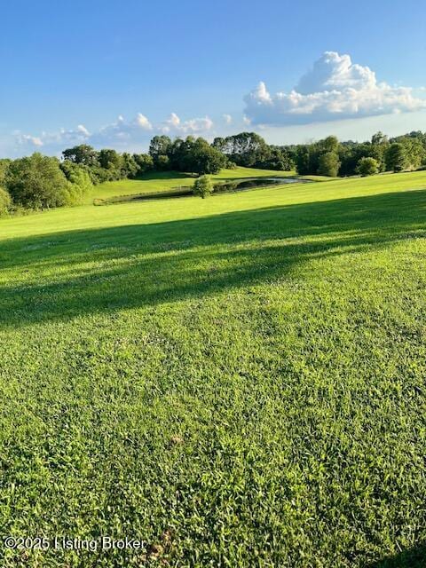 135 Cotton Ln, Taylorsville, KY 40071 - photo 14