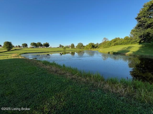135 Cotton Ln, Taylorsville, KY 40071 - photo 6