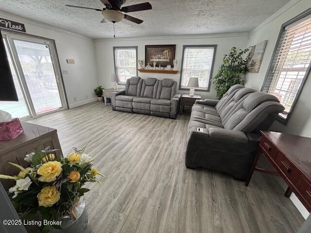 135 Cotton Ln, Taylorsville, KY 40071 - photo 46