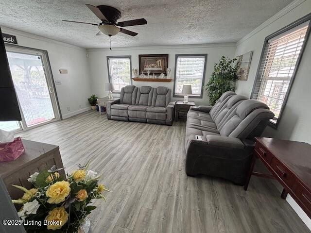 135 Cotton Ln, Taylorsville, KY 40071 - photo 49