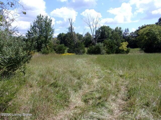 3875 Roberts Rd, Bardstown, KY 40004 - photo 3