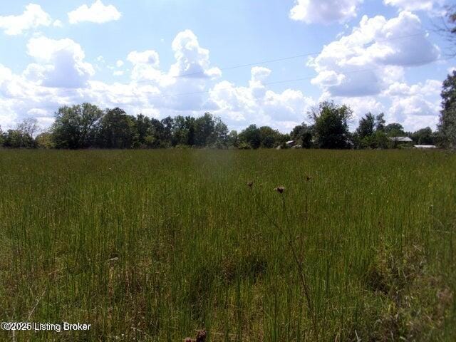 3875 Roberts Rd, Bardstown, KY 40004 - photo 4