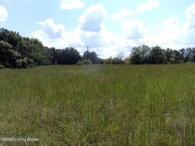 3577 Roberts Rd, Bardstown, KY 40004 - photo 2