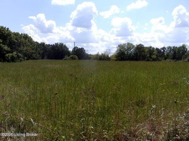 3577 Roberts Rd, Bardstown, KY 40004 - photo 4