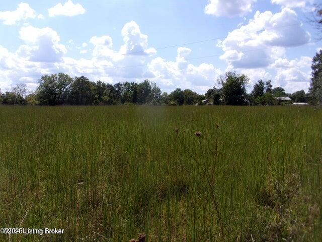 3577 Roberts Rd, Bardstown, KY 40004 - photo 5