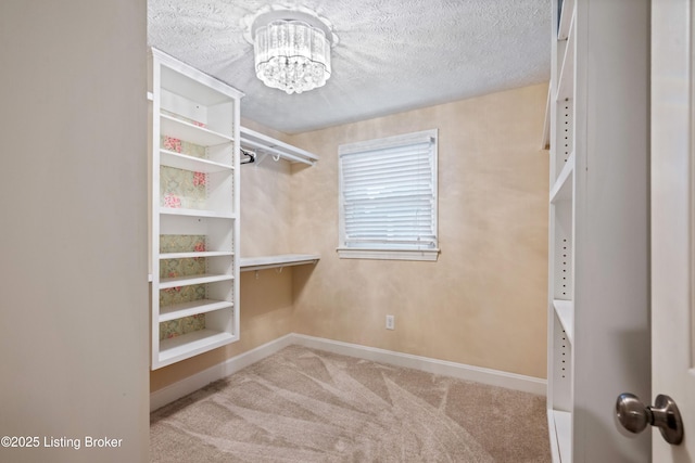 3917 Staebler Ave, Louisville, KY 40207 - photo 33