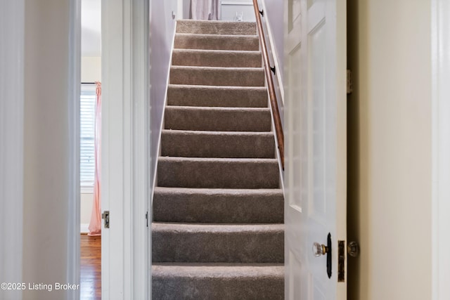 3917 Staebler Ave, Louisville, KY 40207 - photo 27