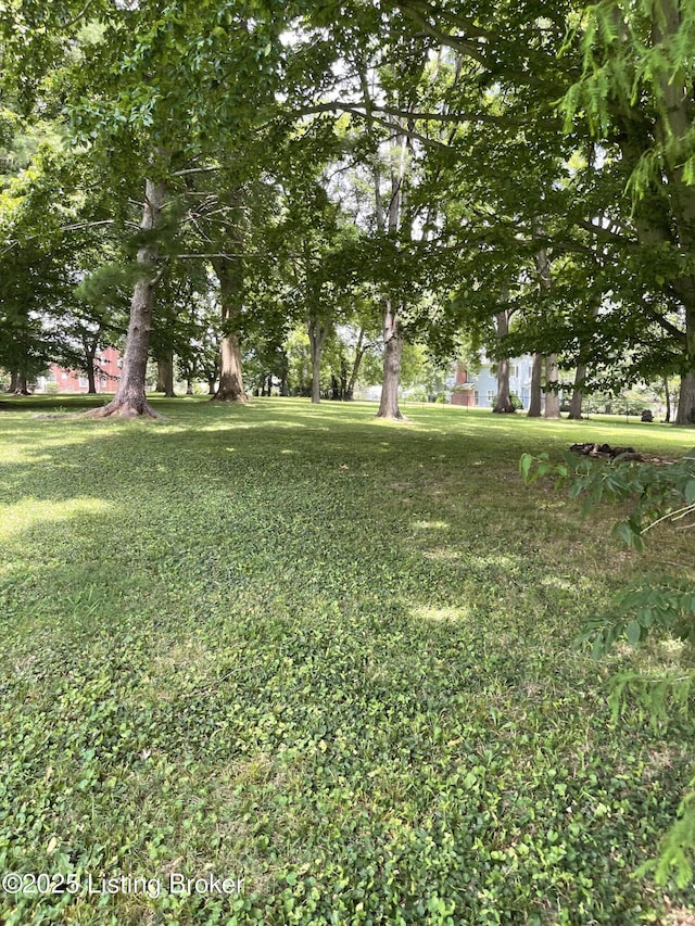 4305 Westport Rd, Louisville, KY 40207 - photo 3