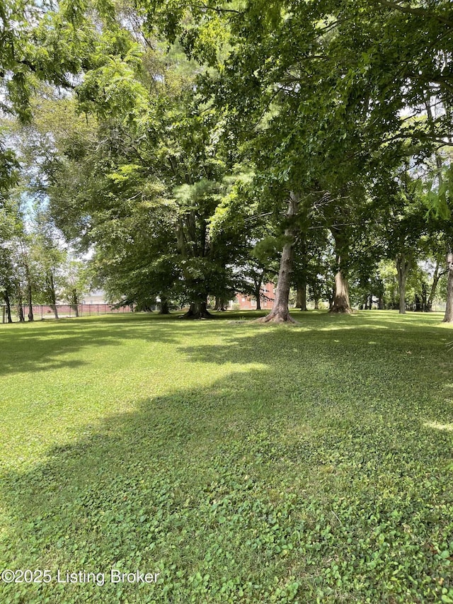 4305 Westport Rd, Louisville, KY 40207 - photo 4