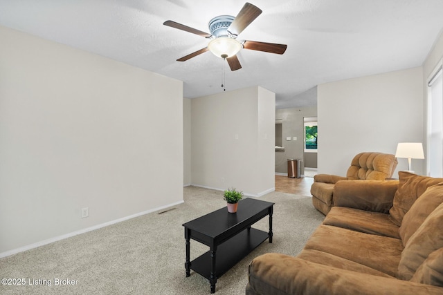 3117 Doreen Way, Louisville, KY 40220 - photo 6