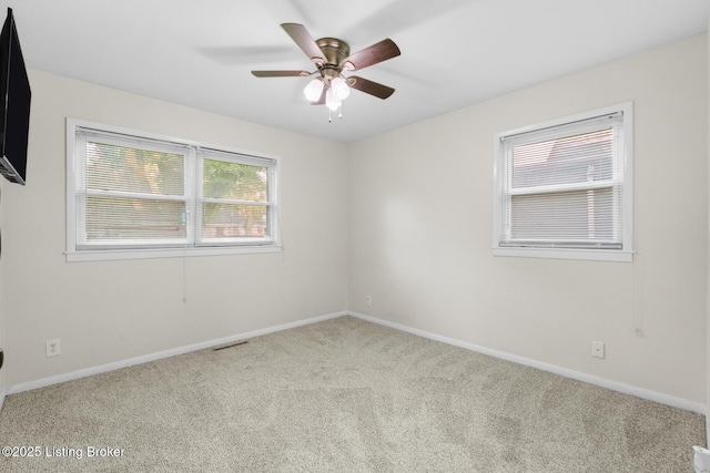 3117 Doreen Way, Louisville, KY 40220 - photo 16