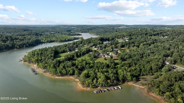 33 Lower Ridgecrest Dr, Clarkson, KY 42726 - photo 55