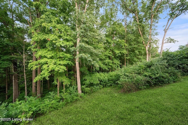 7608 Keller Way, Crestwood, KY 40014 - photo 66