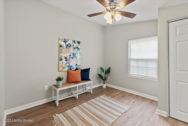 15 Kenil Ct, Louisville, KY 40206 - photo 18