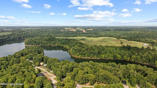 479 Indian Ridge Rd, Falls Of Rough, KY 40119 - photo 4
