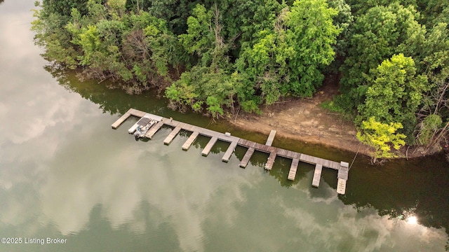 479 Indian Ridge Rd, Falls Of Rough, KY 40119 - photo 11