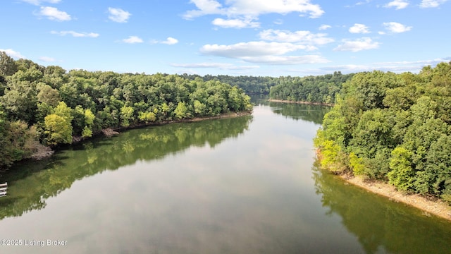 479 Indian Ridge Rd, Falls Of Rough, KY 40119 - photo 12