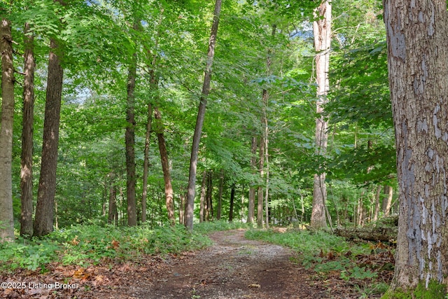 479 Indian Ridge Rd, Falls Of Rough, KY 40119 - photo 39