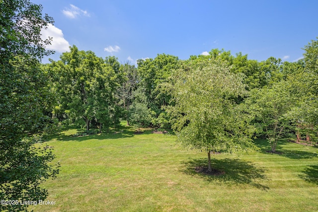 8201 Maris Ct, Louisville, KY 40241 - photo 40