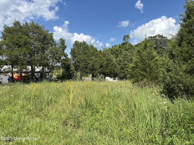 588 Big Meadows Ln, Irvington, KY 40146 - photo 8