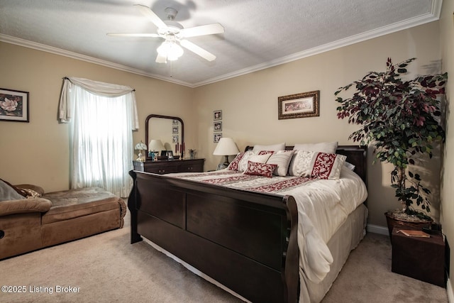 203 Demaree Dr, Bardstown, KY 40004 - photo 30
