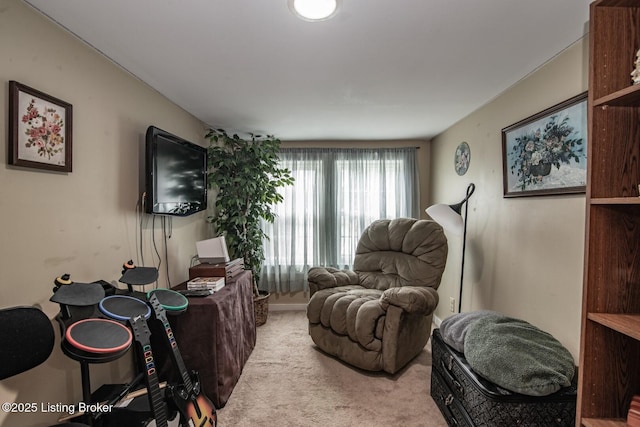 203 Demaree Dr, Bardstown, KY 40004 - photo 44
