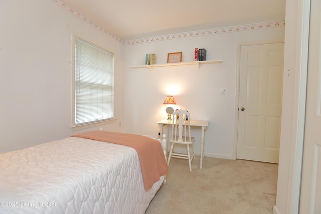 14013 Beckley Trce, Louisville, KY 40245 - photo 44