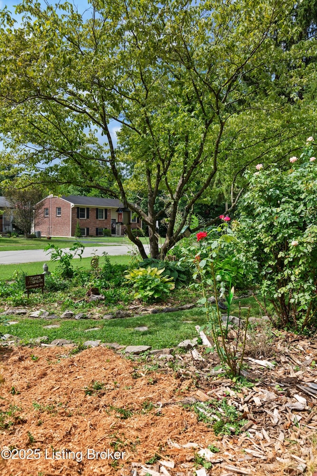 3107 Cabinwood Dr, Louisville, KY 40220 - photo 44