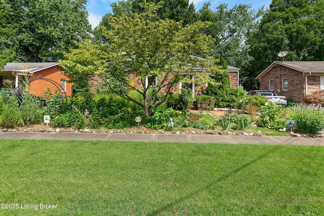 3107 Cabinwood Dr, Louisville, KY 40220 - photo 45