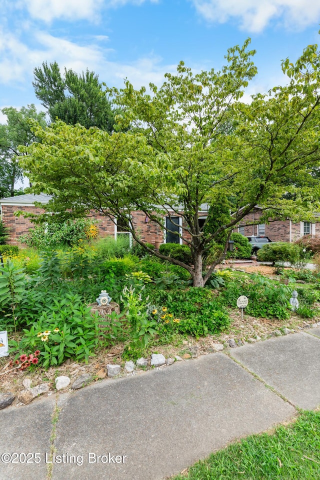 3107 Cabinwood Dr, Louisville, KY 40220 - photo 50
