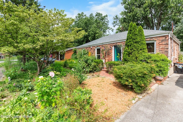3107 Cabinwood Dr, Louisville, KY 40220 - photo 52
