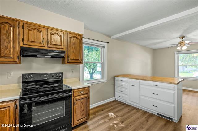 305 Falcon Ct, Elizabethtown, KY 42701 - photo 13