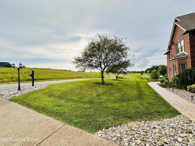 307 Lana Ln, Leitchfield, KY 42754 - photo 14